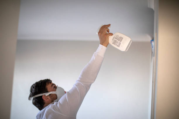 Best Best Mold Removal Companies  in Leisure City, FL