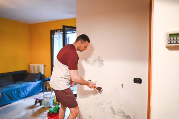 Best Mold Testing  in Leisure City, FL